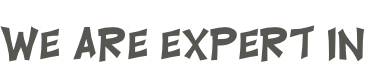 We Are Expert in